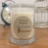 Pet Odour Eliminator Candle - Lemon & Orange